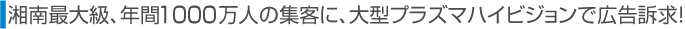 Óő勉ANԖ950l̏WqɁA^vY}nCrWōLiI